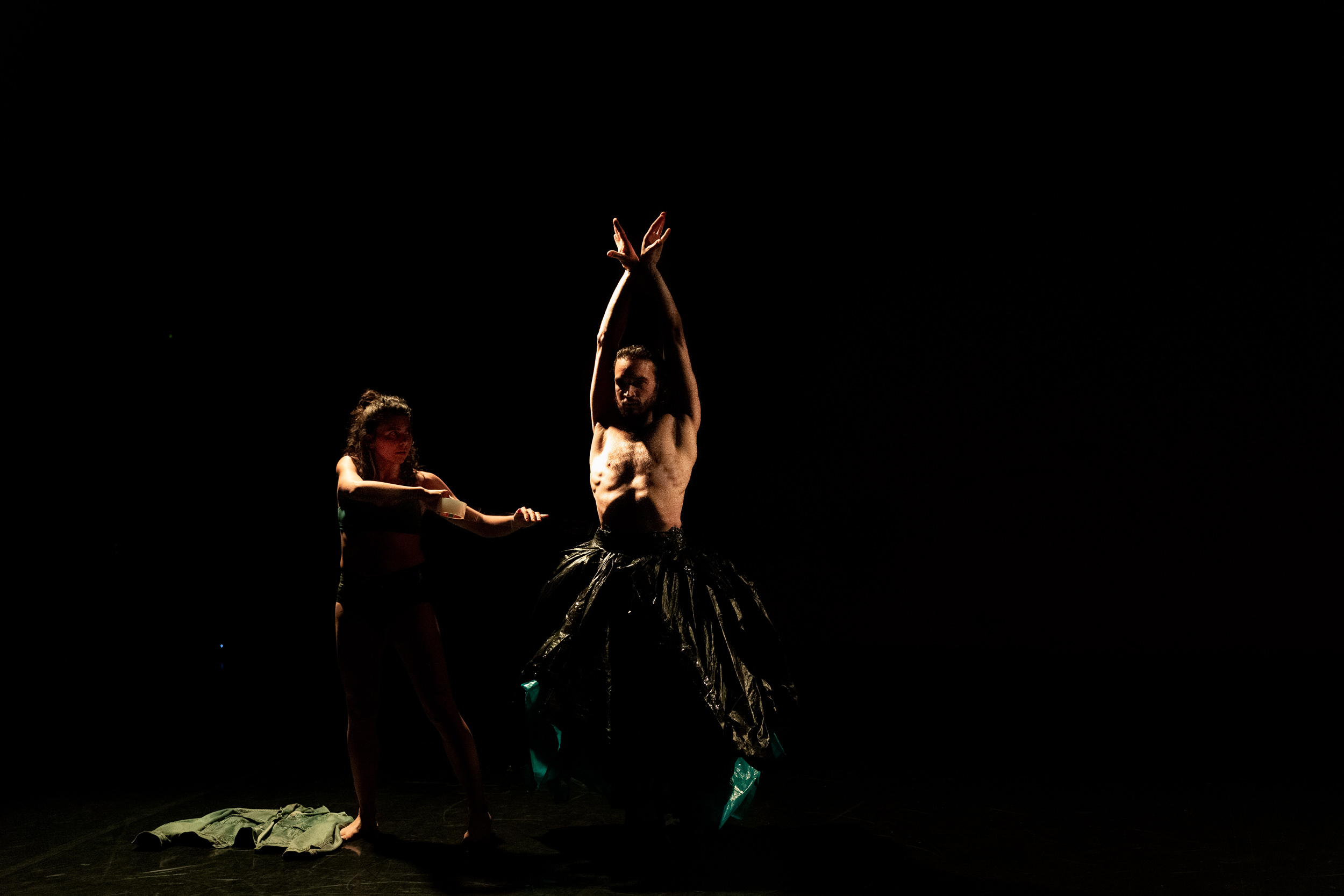 Birds of Paradise Performance 1