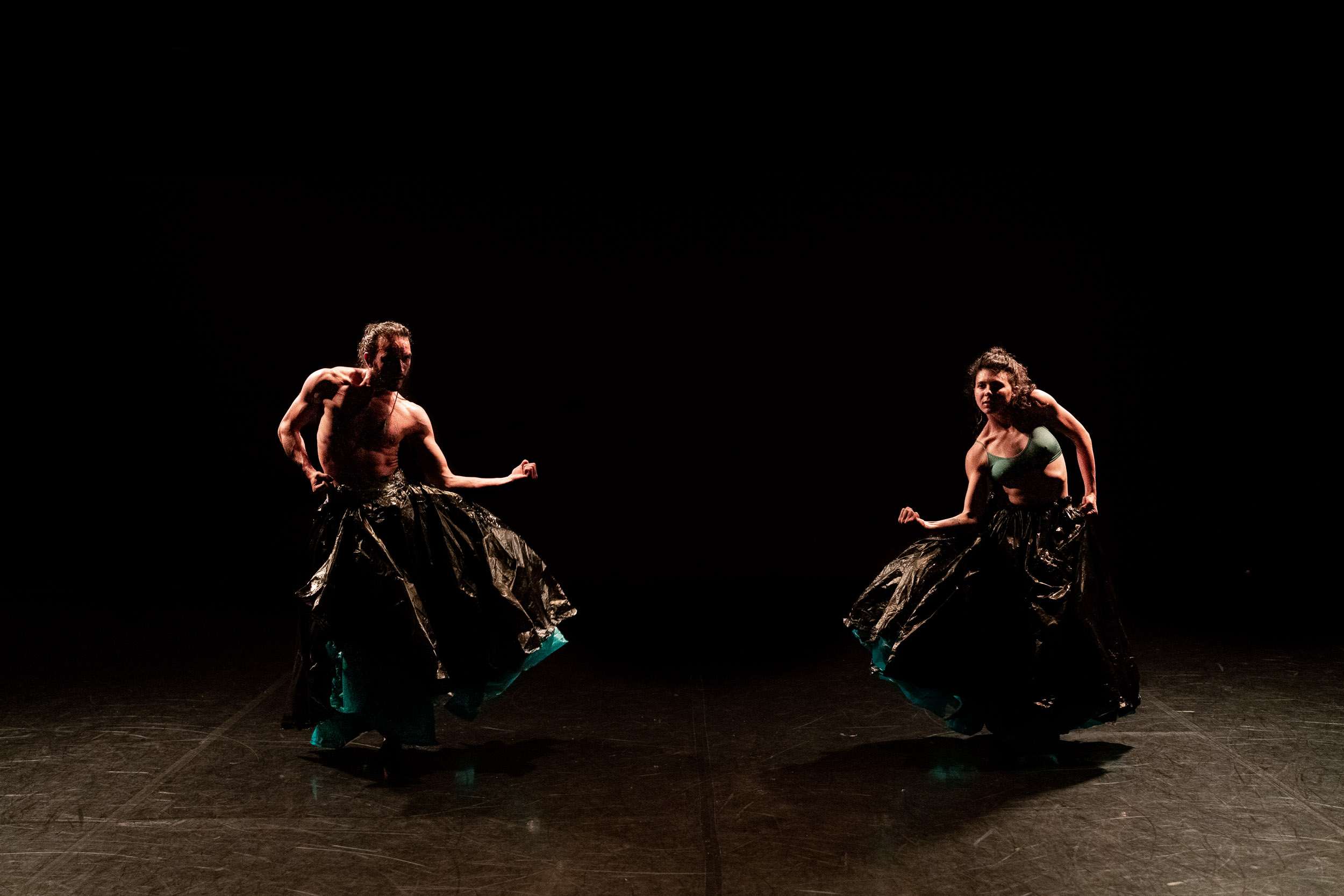 Birds of Paradise Performance 2