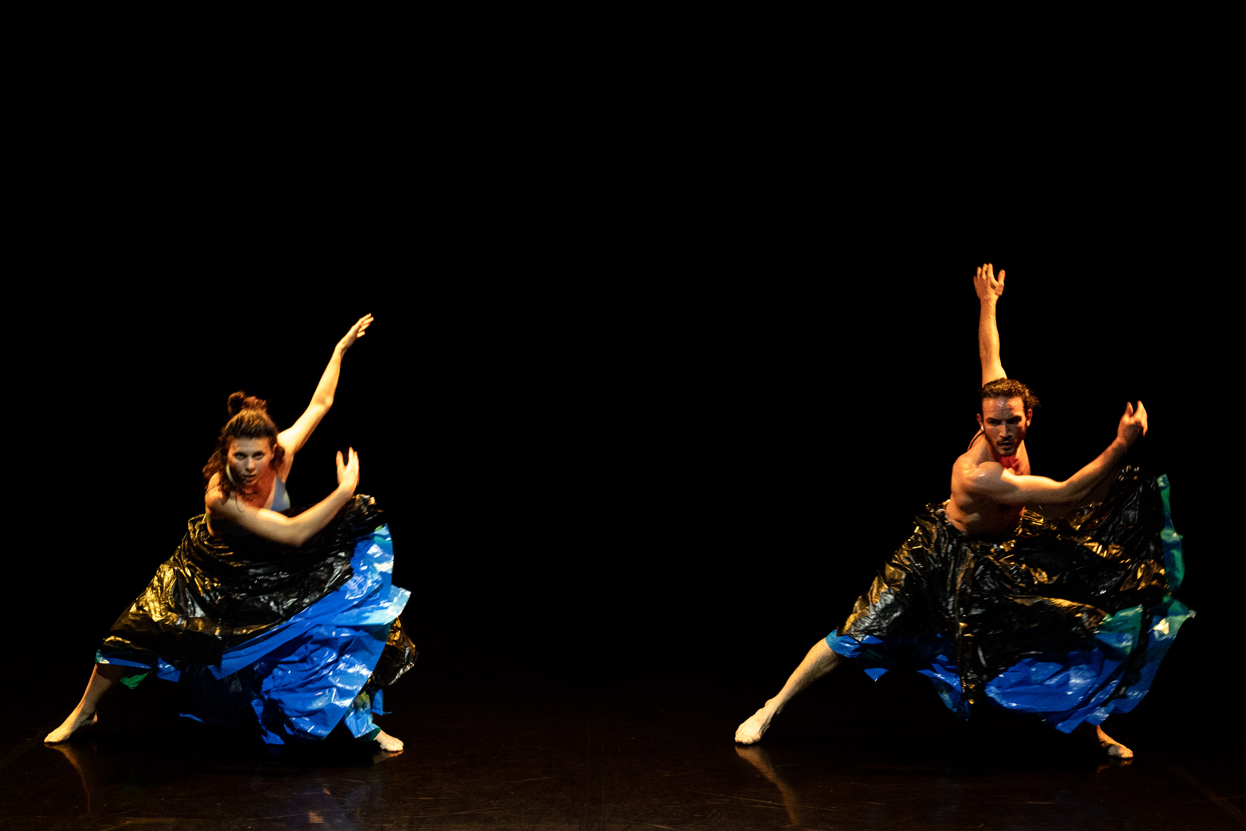 Birds of Paradise Performance 3