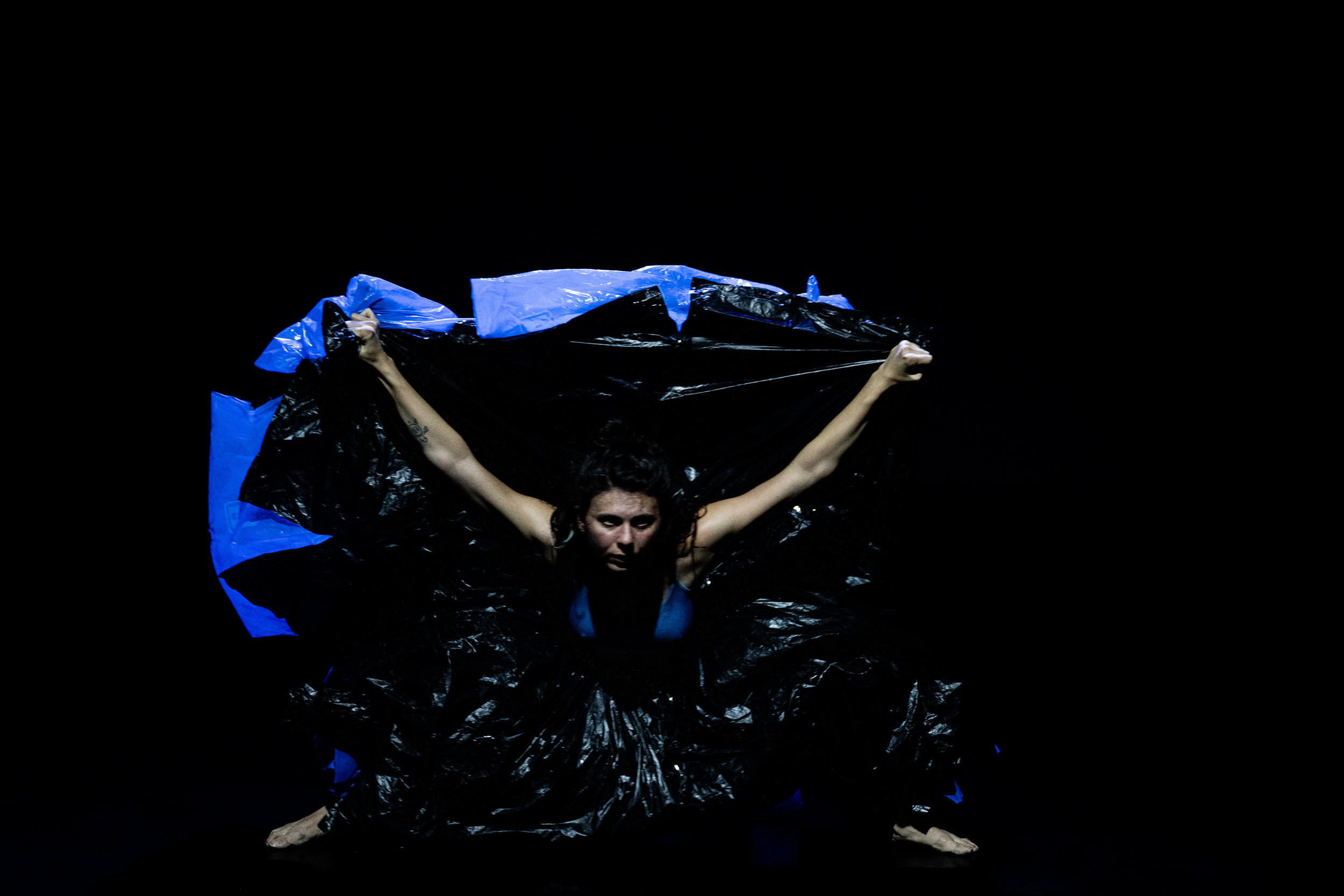 Birds of Paradise Performance 6