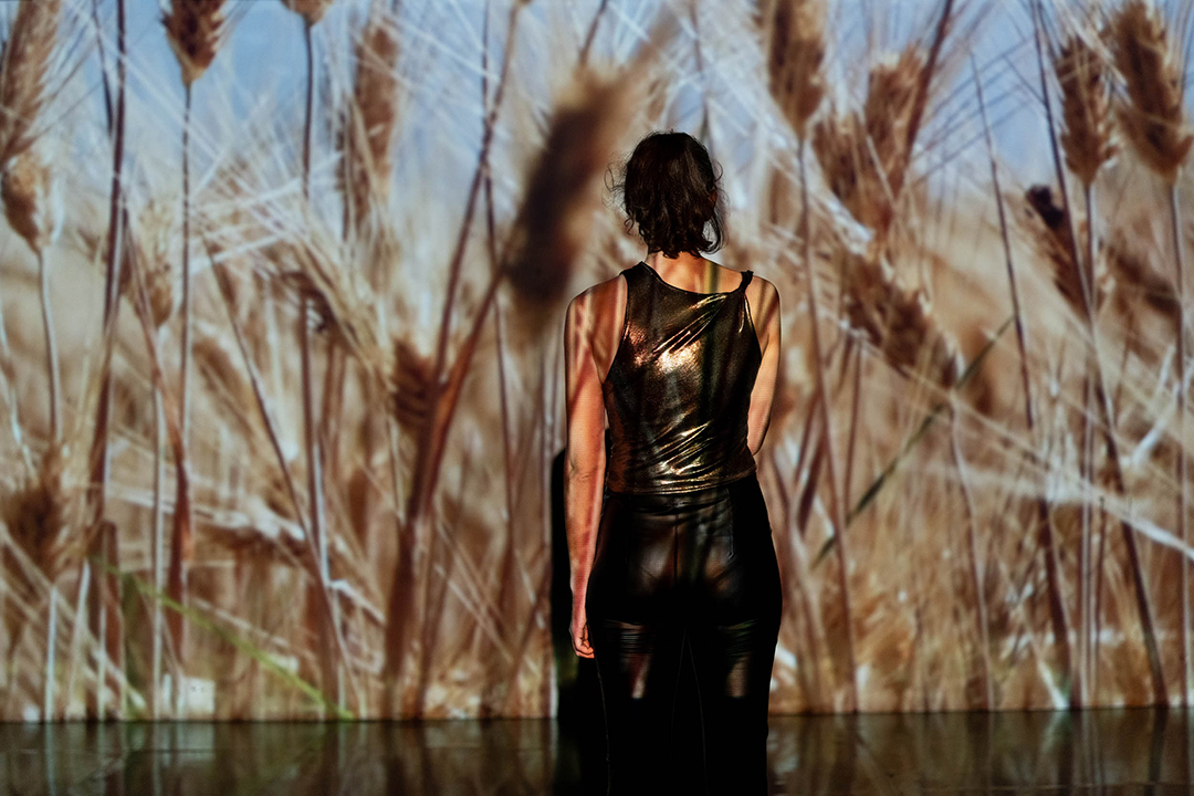 Unbound Performance 7